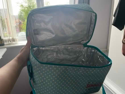 Photo of free Thermal bag (Toxteth L8) #1