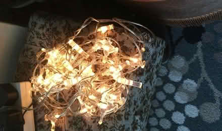 Photo of free Reindeer Christmas lights (Downfield DD3) #1