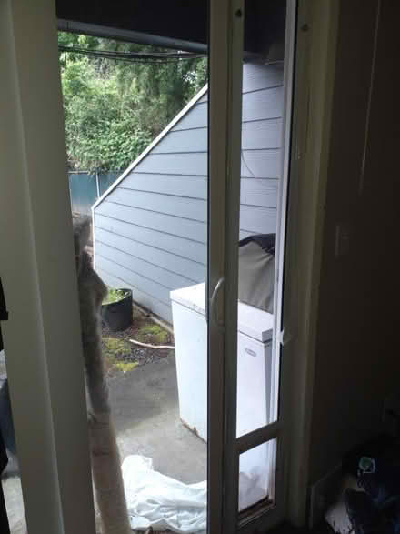 Photo of free Pet door sliding door insert (Wonderland Neighborhood) #1