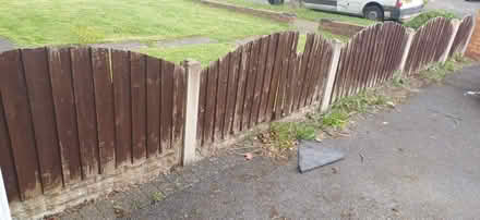 Photo of free Feather Edge DOME TOP Fence Panels (Hamstead B43) #1