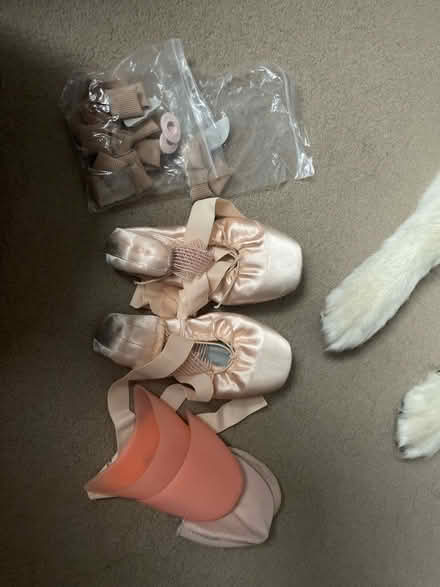 Photo of free Pointe shoes size 3 (Toxteth L8) #1