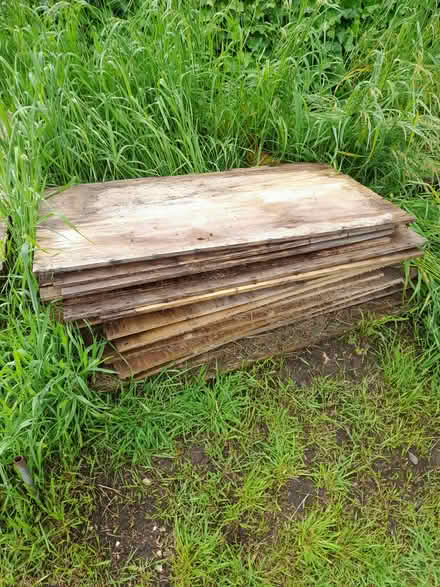 Photo of free Sheets of wood (Dagenham RM8) #1