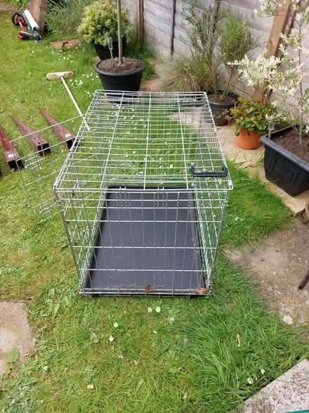 Photo of free Animal/Dog crate (Hatfield) #1