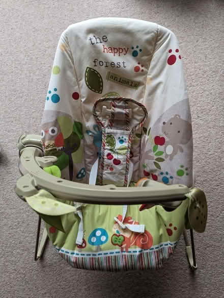 Photo of free Baby bouncer (Lewes, near Prison/Winterborne) #1