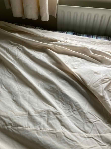 Photo of free Valance sheet (Winfrith) #1