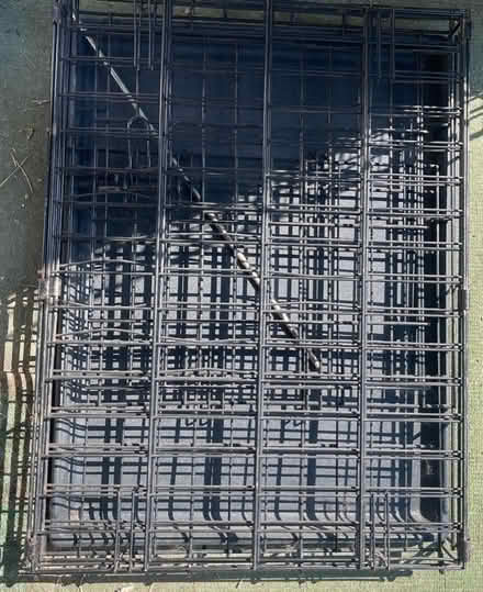 Photo of free Dog crate -20782 (Between Chillum and Riggs Road) #1