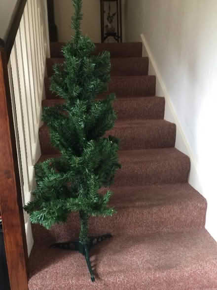 Photo of free Christmas tree etc (Downfield DD3) #2
