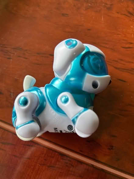 Photo of free Teksta micro pet (may not work) (Warlingham) #2