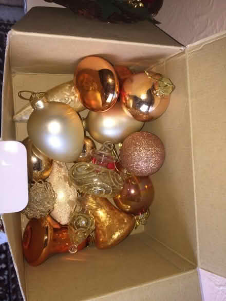 Photo of free Christmas tree etc (Downfield DD3) #3