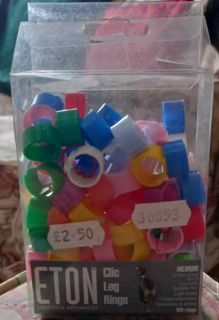 Photo of free Poultry Leg Rings (Pant SY10) #1