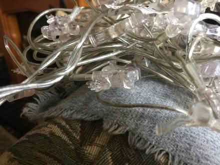Photo of free Reindeer Christmas lights (Downfield DD3) #3