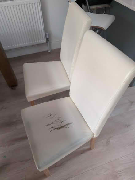 Photo of free 6 x dining chairs (Dagenham RM10) #1