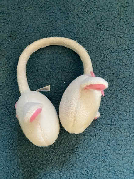 Photo of free ear muffs (Spring Hill, Somerville) #2
