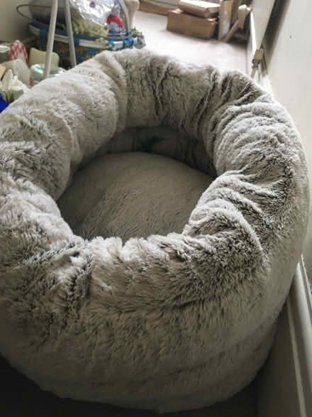 Photo of free Cat bed (SK3 Stockport) #1