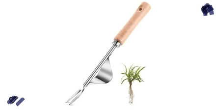 Photo of Weed remover tool (Nr Turnpike Lane, N15) #1