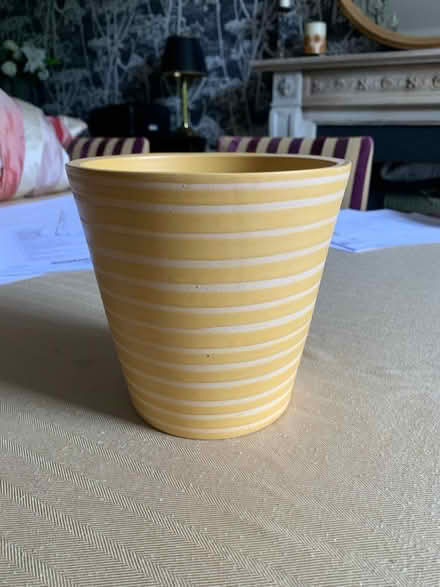 Photo of free Plant pot (Billericay) #1
