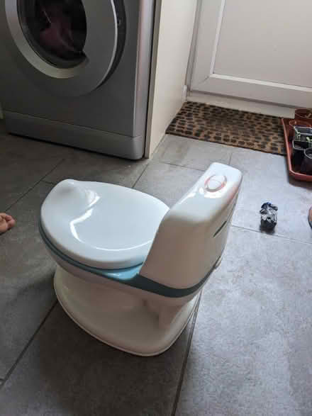 Photo of free Snazzy potty (Surrenden BN1) #2
