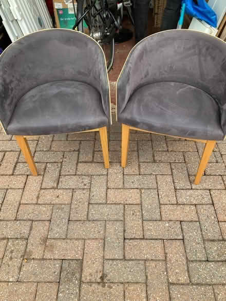 Photo of free 2 chairs (CR2) #1