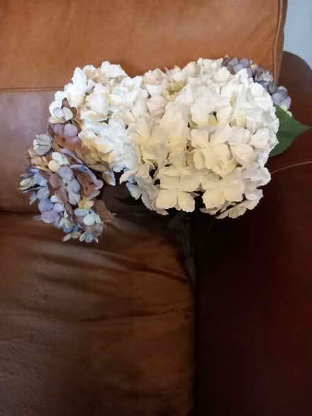 Photo of free Artificial hydrangea flowers (Tilehurst RG30) #1