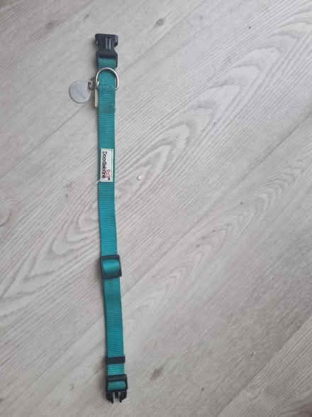 Photo of free Dog collar (BN3) #1
