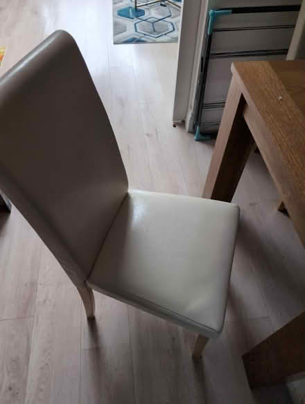 Photo of free 6 x dining chairs (Dagenham RM10) #3