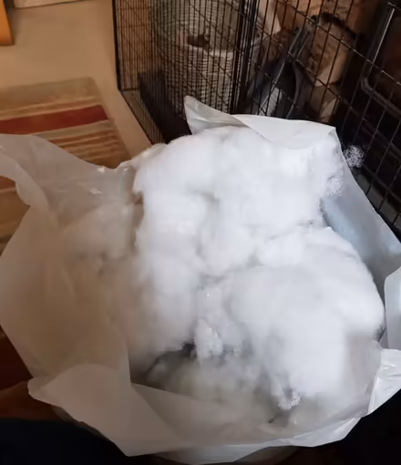 Photo of free Bag of stuffing for craft work (Kendal LA9) #1