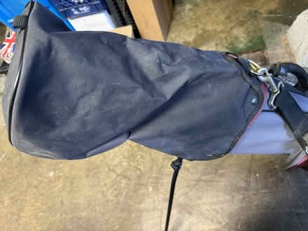 Photo of free Old golf clubs in bag (Inner Sunset) #3