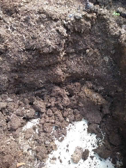 Photo of free Well rotted manure (Weston in Gordano, BS20) #1