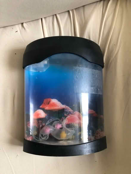 Photo of free Toy jellyfish tank (SE9) #1