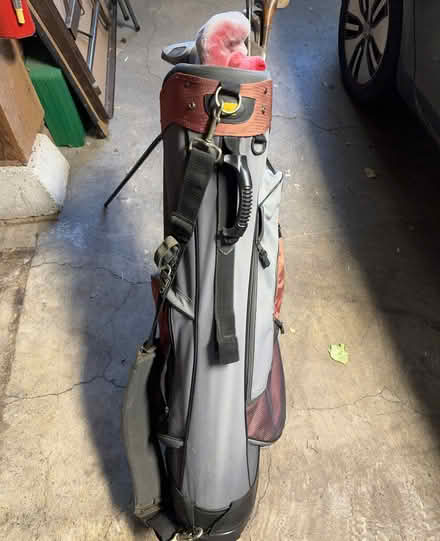Photo of free Old golf clubs in bag (Inner Sunset) #1