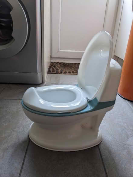 Photo of free Snazzy potty (Surrenden BN1) #3