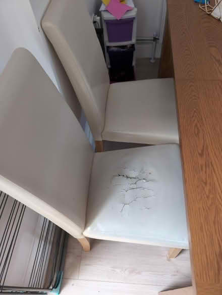Photo of free 6 x dining chairs (Dagenham RM10) #4