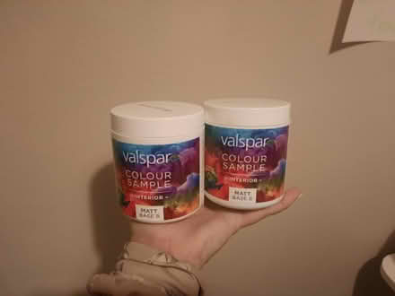 Photo of free green interior paint - two sample pots (Moxley DY4) #1