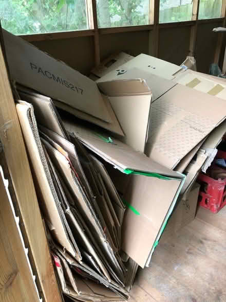 Photo of free boxes and packing materials (Crediton) #1