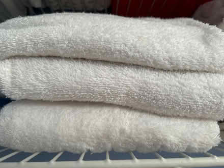 Photo of free White Towels (Bridgeport -Brooklawn section) #2