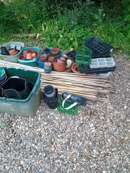 Photo of free Lot of garden canes and plant pots (Cosby LE9) #2