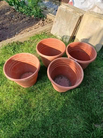 Photo of free Tough plastic plant pots (Trefor LL65) #1