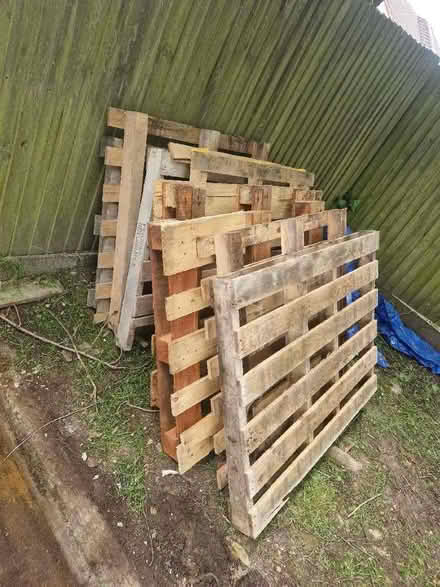 Photo of free 8 pallets (Rickmansworth WD3) #1