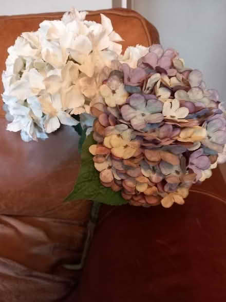 Photo of free Artificial hydrangea flowers (Tilehurst RG30) #2