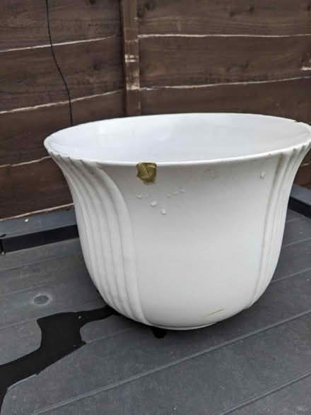 Photo of free Plant pot (Lower Sydenham) #3