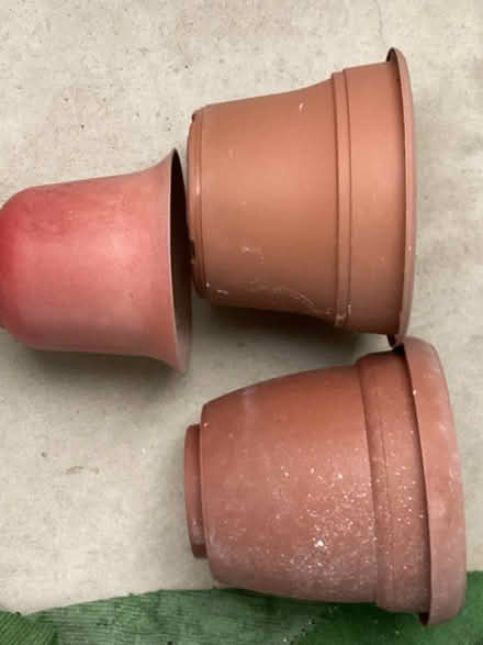 Photo of free Assorted plant pots (High Park area) #1