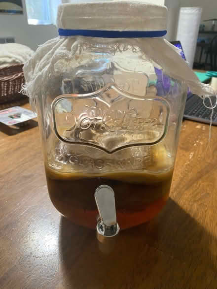 Photo of free Kombucha culture in jar (Harvard Square) #1