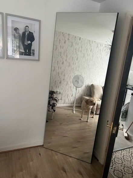 Photo of free 7ft mirror (Morecambe LA4) #1