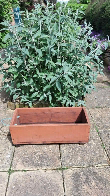 Photo of free trough/ planter X 2 (Feniton) #1