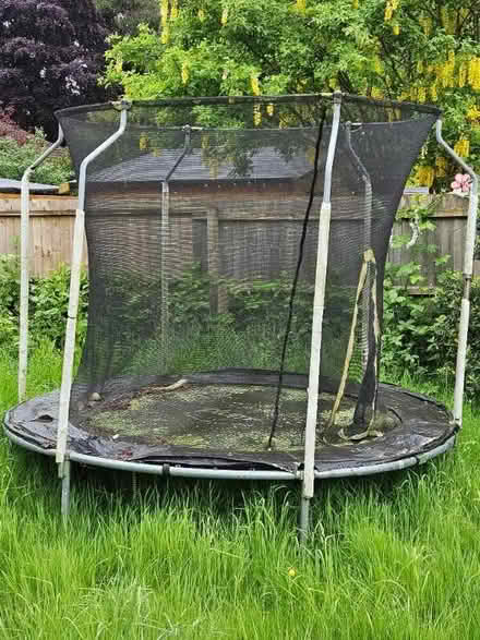 Photo of free Trampoline (Wrenn School area NN8) #1