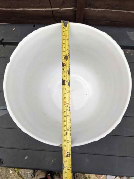 Photo of free Plant pot (Lower Sydenham) #4