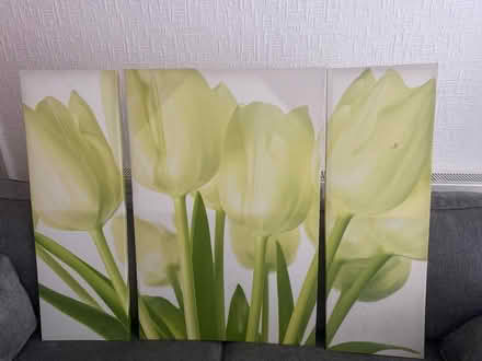 Photo of free Canvas print (L15) #1
