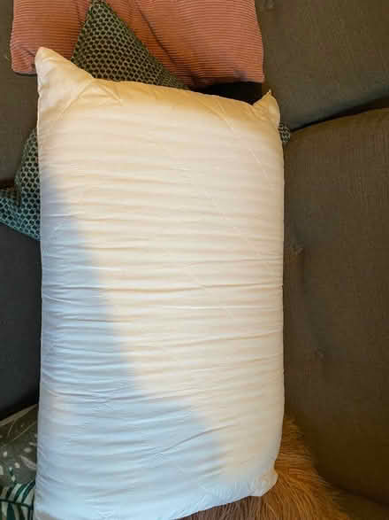 Photo of free 2 x memory foam pillows (Ottery St Mary EX11) #1