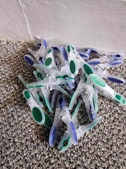Photo of free Pegs (Ilford IG1) #1