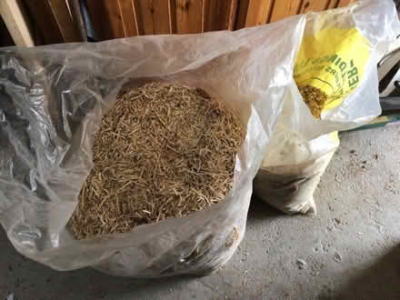 Photo of free Sawdust (Eynsford DA4) #1